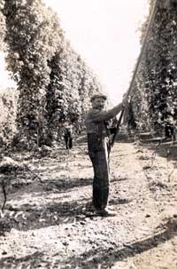 Hop Wiring