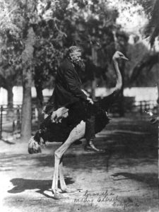 Horatio Webb, riding an ostrich. 